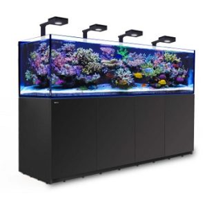 Reefer 900 G2+ Deluxe Noir 90