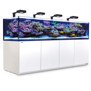 Reefer 900 G2+ Deluxe Blanc 90