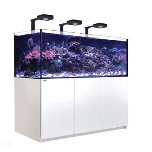 Reefer 525 G2+ Deluxe Blanc 90