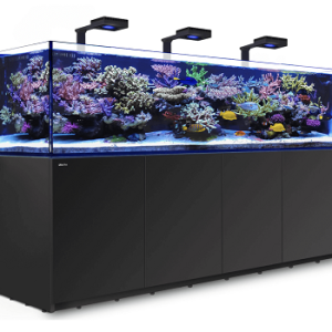 Reefer S 1000 G2+ Deluxe Noir 160