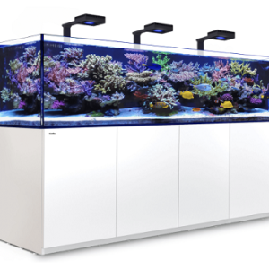 Reefer S 1000 G2+ Deluxe Blanc 160