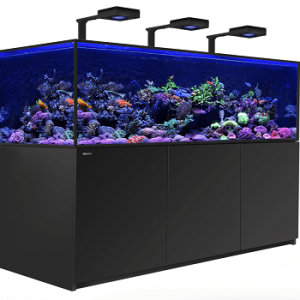 Reefer S 850 G2+ Deluxe Noir 160S