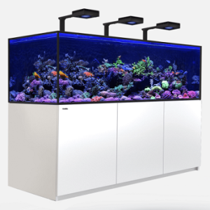 Reefer S 850 G2+ Deluxe Blanc 160S