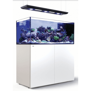 Reefer Peninsula 500 G2+ Deluxe Blanc 90