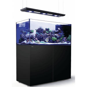 Reefer Peninsula 500 G2+ Deluxe Noir 90
