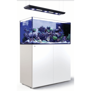 Reefer Peninsula 500 G2+ Deluxe Blanc 160S