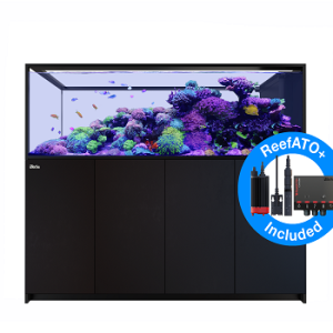 Reefer Peninsula 950 G2+ Deluxe Noir 160S