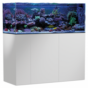 Armatus 400 blanc