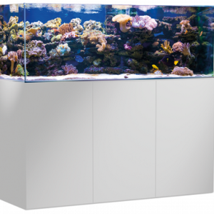 Armatus 450 blanc