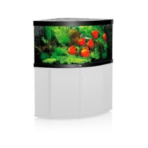 Aquarium Trigon 190 Noir JUWEL