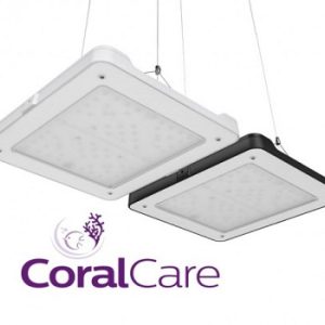 Coral Care Blanche