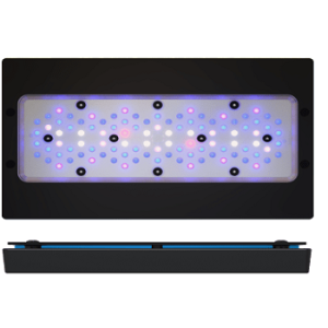Radion XR30 G6 BLUE LED Light w/ EU