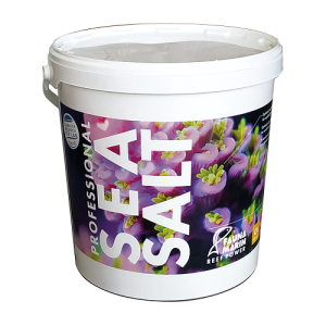 Professional Sea Salt - 25 kg Seau