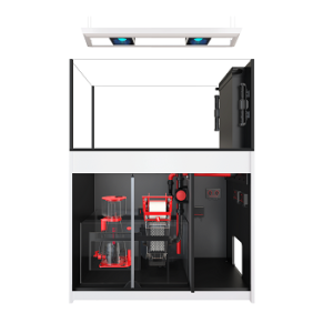 Reefer Max Peninsula Series 500 G2+ Blanc