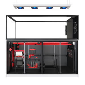 Reefer Max Peninsula S Series 950 G2+ Noir