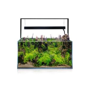 Aquarium Ultrascape 90 forest 240L