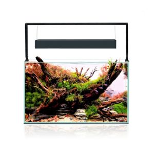Aquarium Ultrascape 60 forest 64L