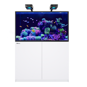 Reefer Max Series 550 G2+ Blanc