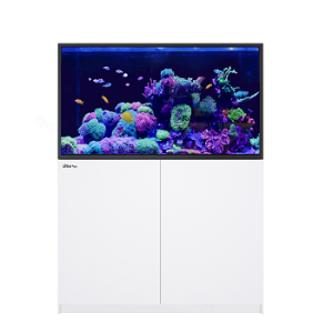Reefer S 550 G2+ blanc