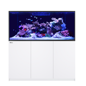 Reefer S 700 G2+ blanc