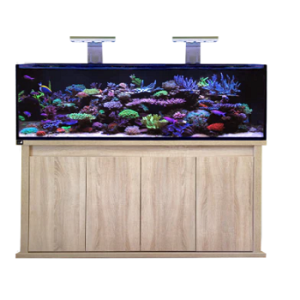Reef-Pro 1500 Platinum Oak D-D