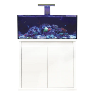 Reef-Pro 900 White D-D