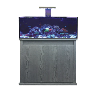 Reef-Pro 900 Carbon Oak D-D