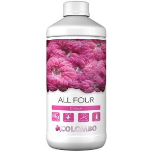 All four 1000ml marin Colombo