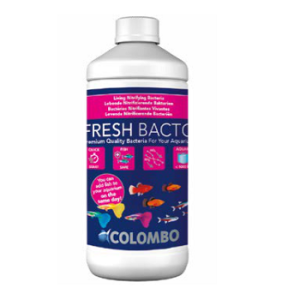 Fresh Bacto 1000ml