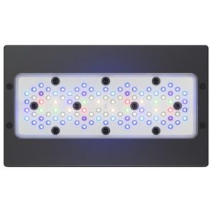 Radion XR30 G6 PRO LED Light w / câble UE