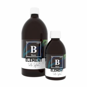 ELEMENT – Bore 1 L Turtle System
