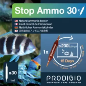 Stop Ammo 30 amps