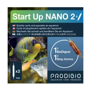 Start up Nano 2 amp