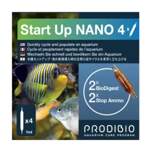 Start up Nano 2 amp
