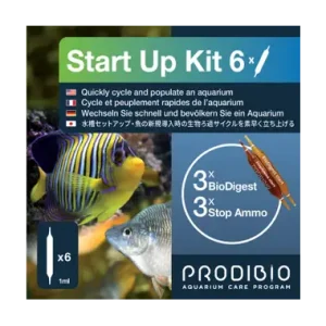 Start up 6 amp