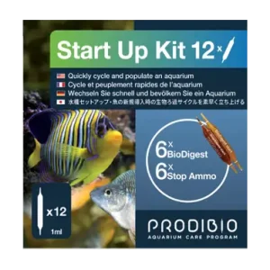 Start up 12 amp