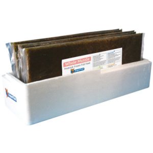 Moule entieres 500Gr plaque